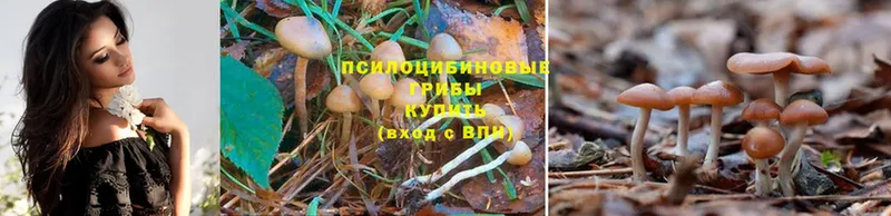 Псилоцибиновые грибы MAGIC MUSHROOMS  Краснообск 