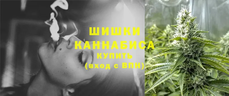 Шишки марихуана Amnesia  Краснообск 